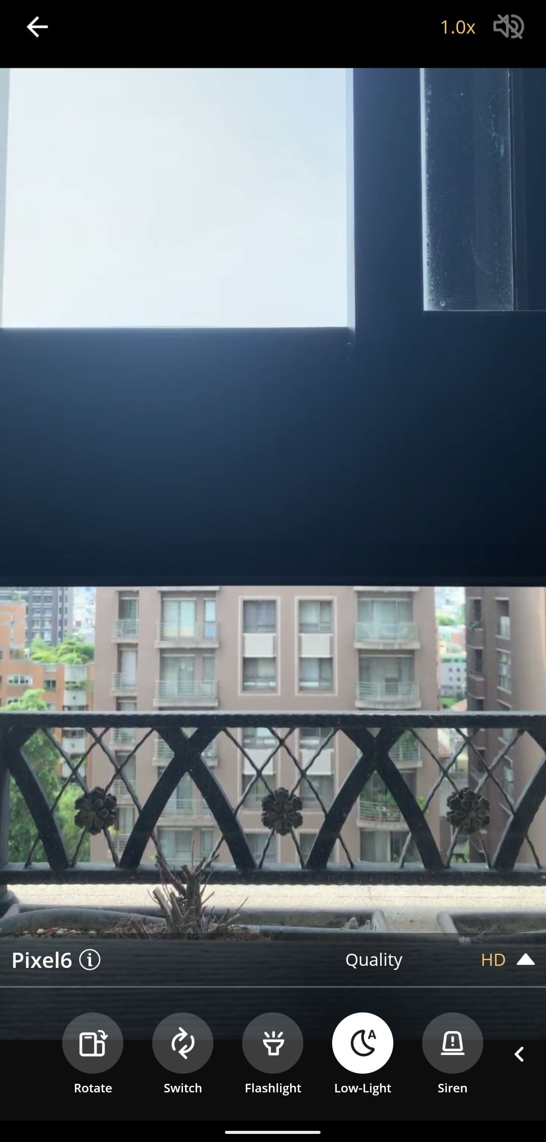 291124133_3287243931563304_779375397168737669_n.jpeg