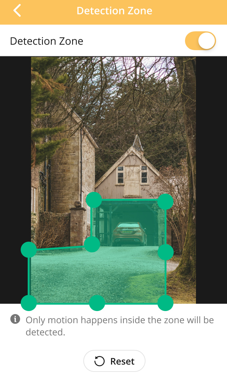 detection_zone_box.png